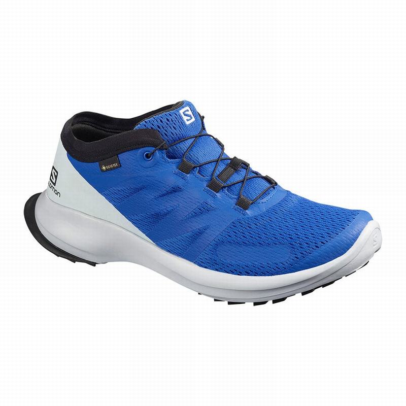 Chaussures De Trail Running Salomon Homme Bleu - Salomon SENSE FLOW GTX - France (9156-BHZDX)